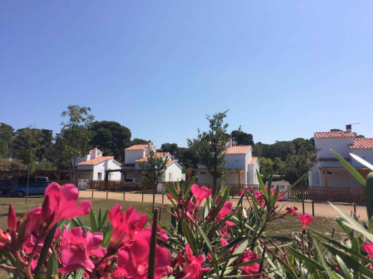 Villas Empuries, Garden & Private Pool Сант Марти д'Емпуриес Екстериор снимка